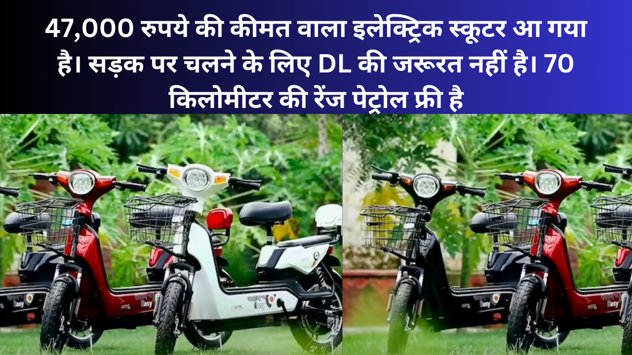 Detel Easy Plus Electric Bike